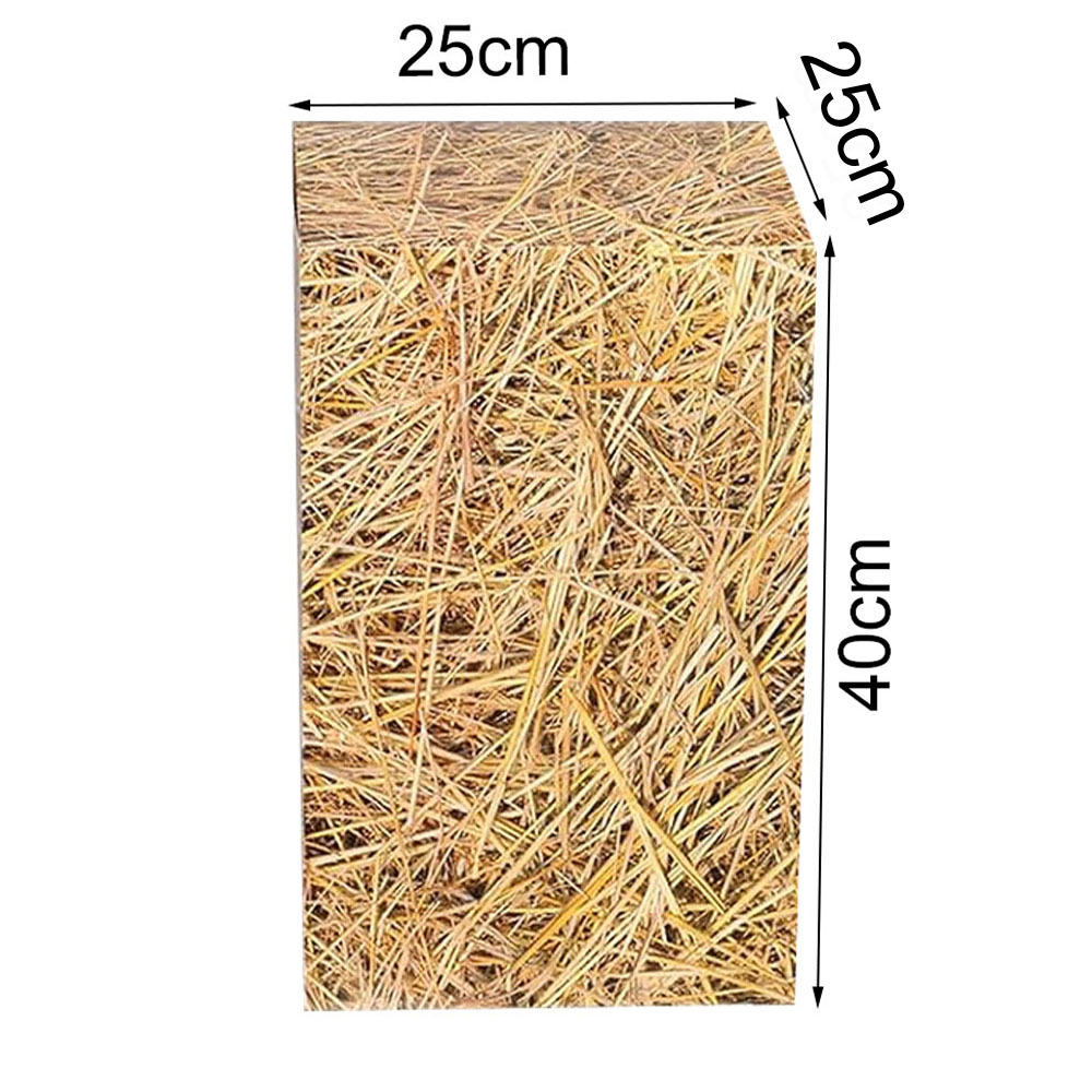 Western Cowboy Birthday Party  - Cowboy Hat Straw review and price